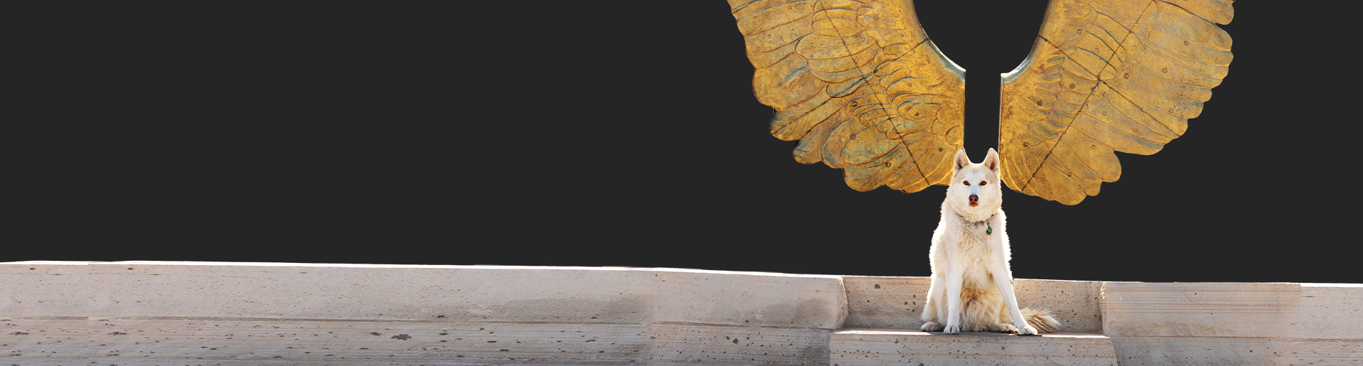 page-header